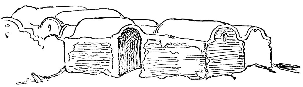PSM V41 D785 Mud built houses village of sivah khorassan