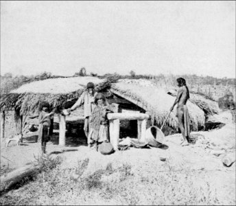 PSM V41 D821 House style built by mojave indians of arizona photo
