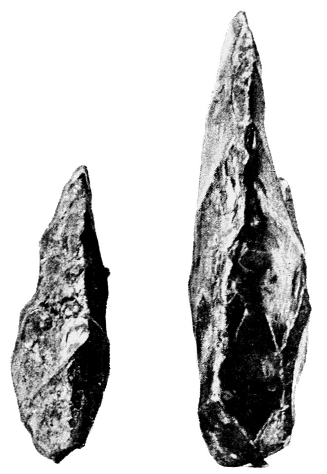 PSM V43 D045 Edge views of the paleolithic chipped stones