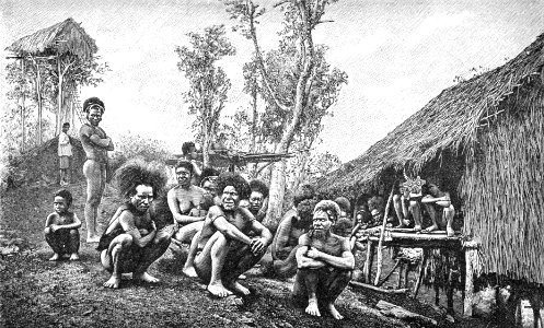 PSM V37 D629 Group of koyari chiefs southeast new guinea