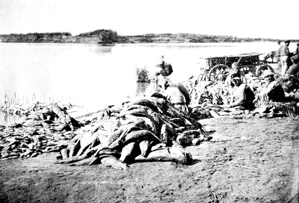 PSM V43 D797 Ural river fall catch dressed by natives