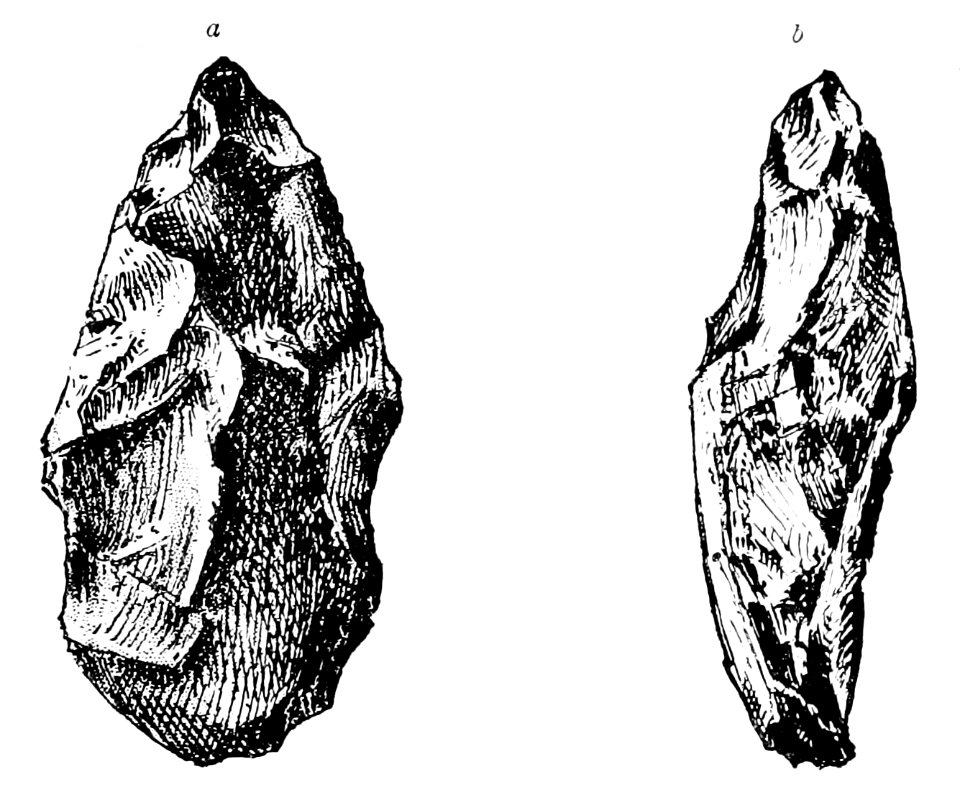 PSM V43 D043 Chipped pebble of black chert
