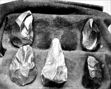 PSM V43 D688 Flint from st acheul and argillites from delaware valley