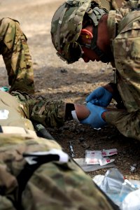 PRT Farah conducts medical evacuation training with Charlie Co., 2-211th Aviation Regiment at Forward Operating Base Farah 130109-N-IE116-286