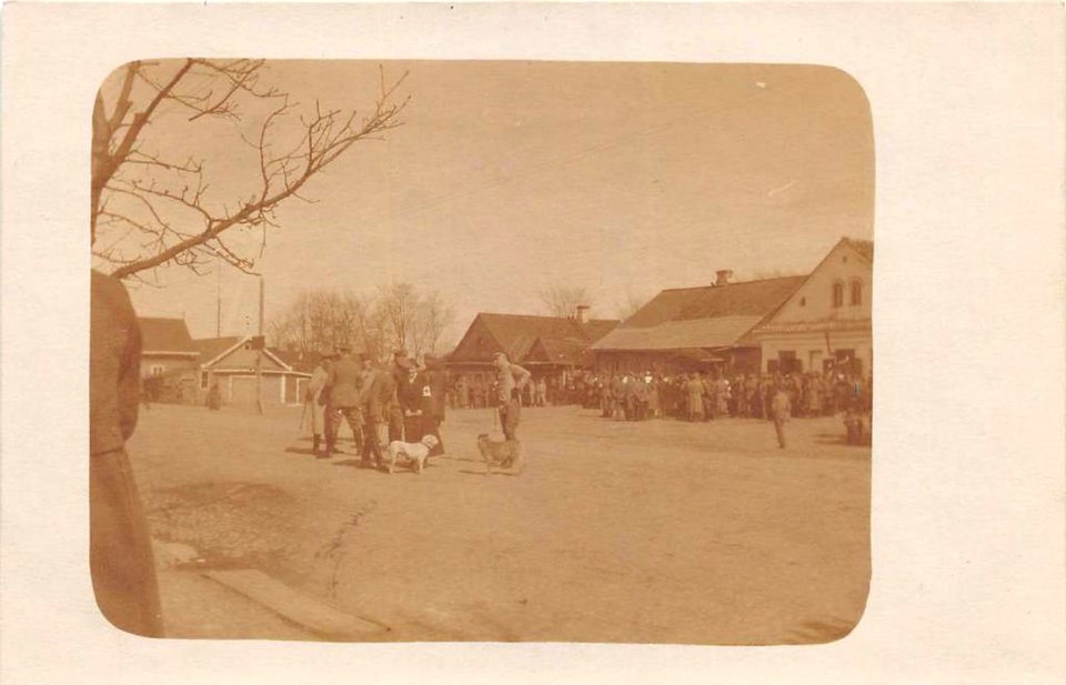 Pružany, Rynak. Пружаны, Рынак (03.1916)