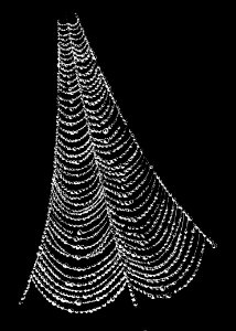 PSM V37 D052 Sector of a dew laden orb web