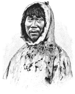 PSM V37 D324 Greenland eskimo