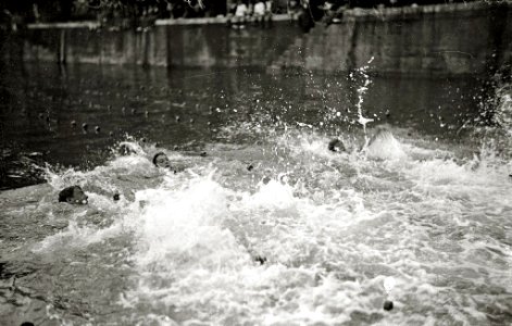 Prueba de natación en el puerto de San Sebastián (15 de 17) - Fondo Car-Kutxa Fototeka