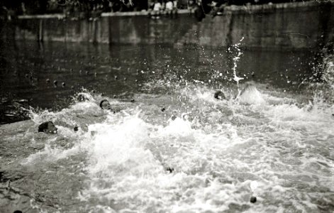 Prueba de natación en el puerto de San Sebastián (15 de 17) - Fondo Car-Kutxa Fototeka photo