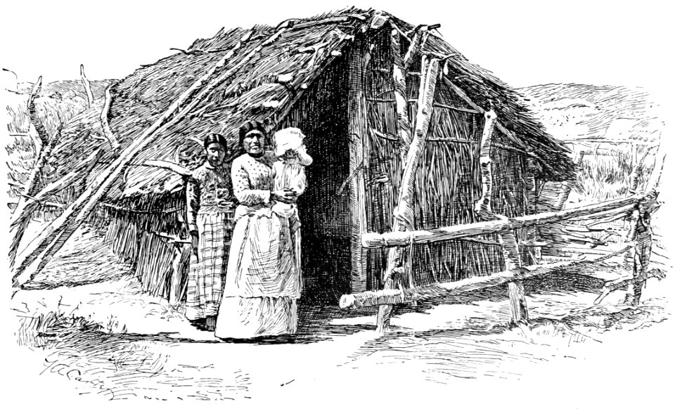 PSM V37 D487 Modern hut of mission indians in coahuila valley