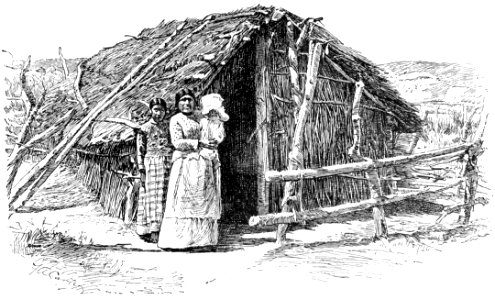 PSM V37 D487 Modern hut of mission indians in coahuila valley