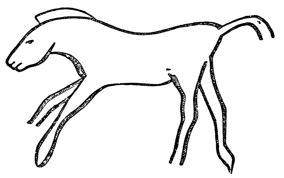 PSM V37 D648 Horse engraved on a bone