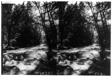 Rapids in stream in Africa LCCN2002706440