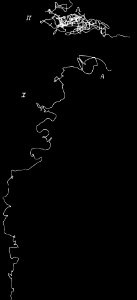 PSM V41 D659 Thoughts of a foot recorded vertically in 45 seconds