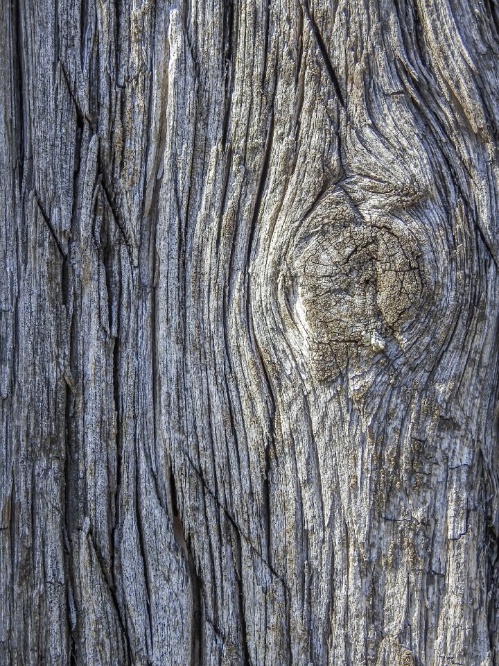 Wood background texture pattern photo