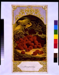 Raspberries LCCN92509213