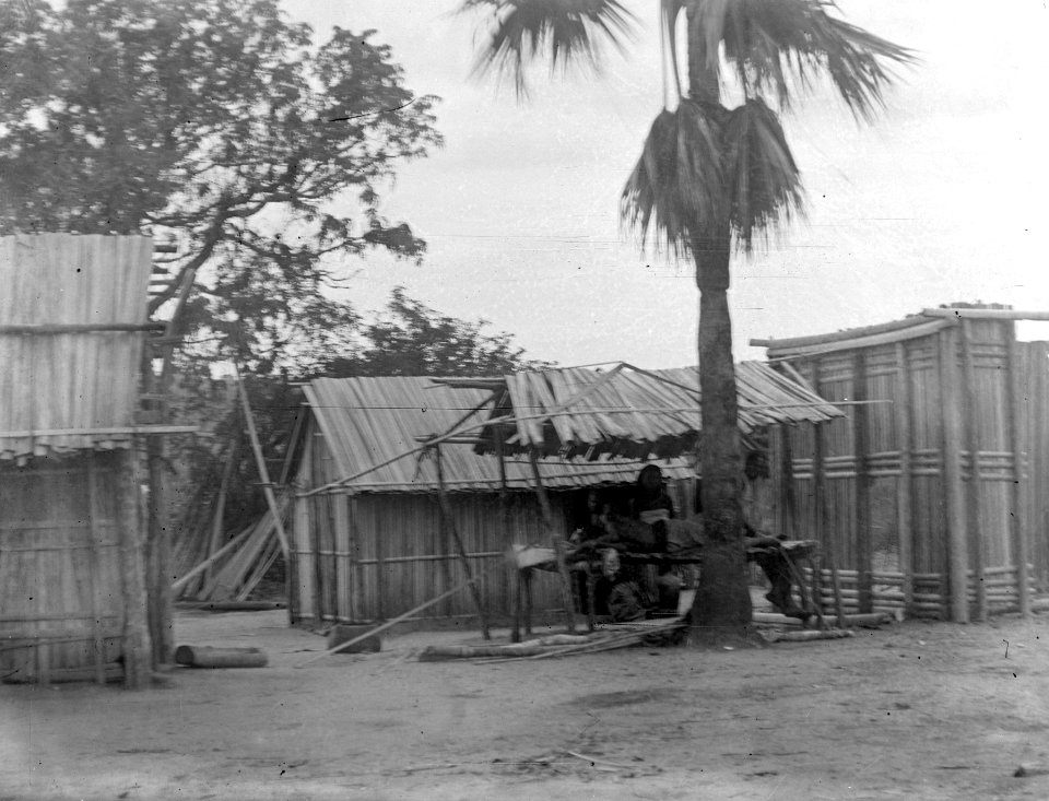 Rast i ett skjul vid en sattapalm. Ankiriki. Madagaskar - SMVK - 021887