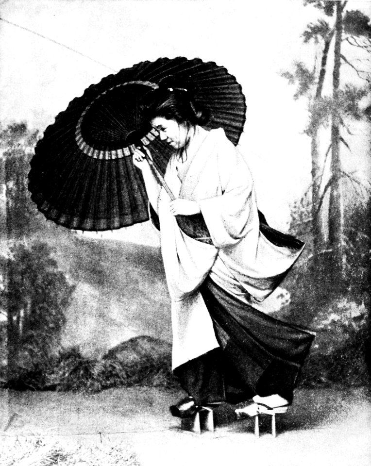 PSM V43 D020 A geisha or a professional entertainer and musician