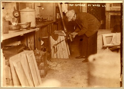 Rat-catcher at work LCCN97519048