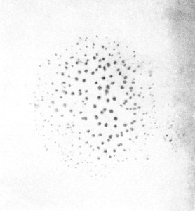 PSM V43 D087 Apple specks