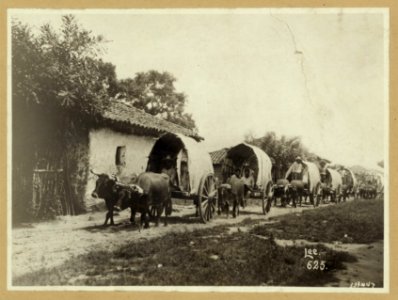 Rapid transit in Mexico - Lee. LCCN2006683810