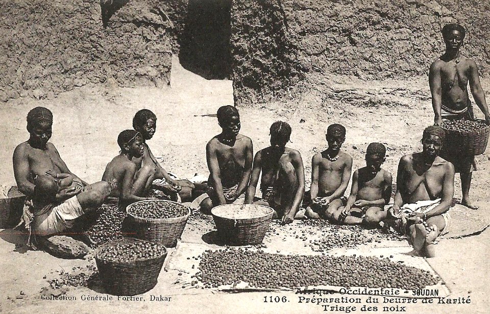 Préparation du beurre de karité (AOF) (1)