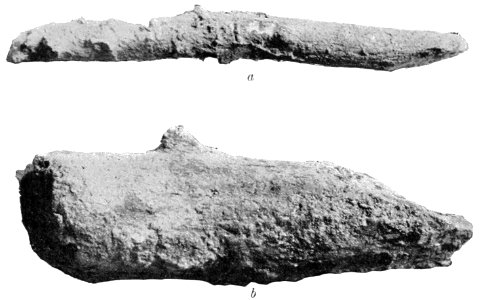 PSM V43 D681 Casts of pointed wooden implement and stone sharpened log
