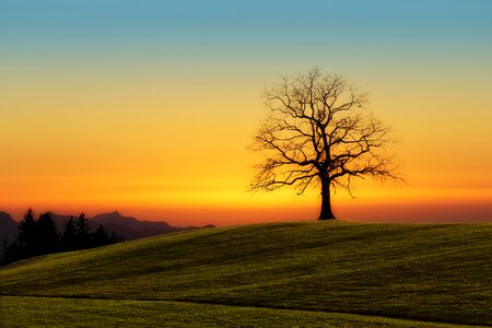 Dawn landscape sky