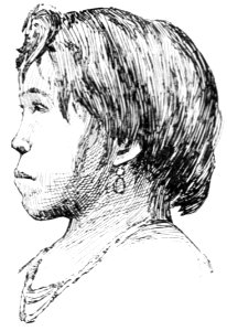 PSM V43 D777 Young botocudu woman of about seventeen years of age