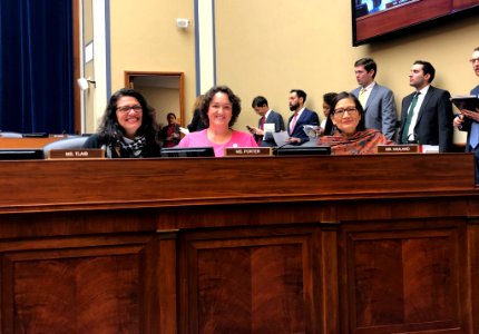 Rashida Tlaib, Katie Porter and Deb Haaland in 2019