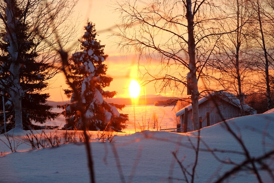 Season cold frozen