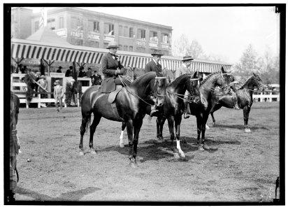 RASMUSSEN, MISS ELEN. HORSE SHOW LCCN2016865452 photo