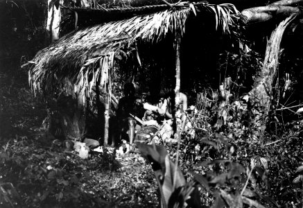 Rasplats på vägen till Danausjön. Sulawesi, Kabupaten Bolaang Mongondow. Indonesien - SMVK - 010698