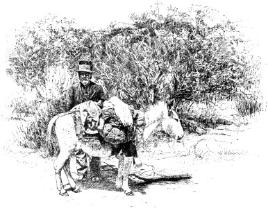 PSM V37 D496 Modern mission indian on his travels