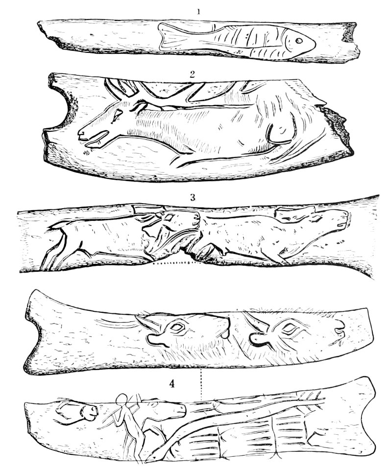 PSM V44 D647 Delineations on pieces of antler