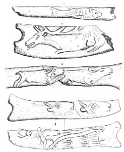 PSM V44 D647 Delineations on pieces of antler