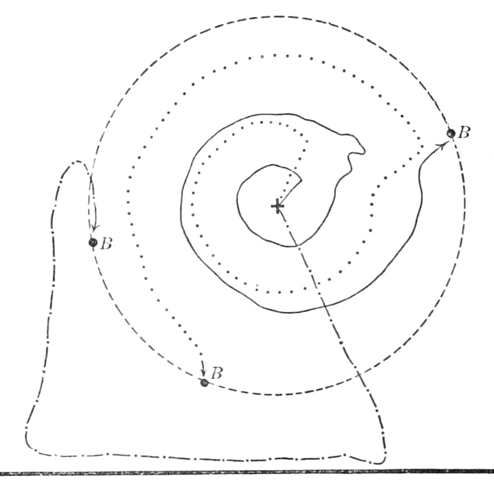 PSM V44 D789 Homing pigeon search patterns