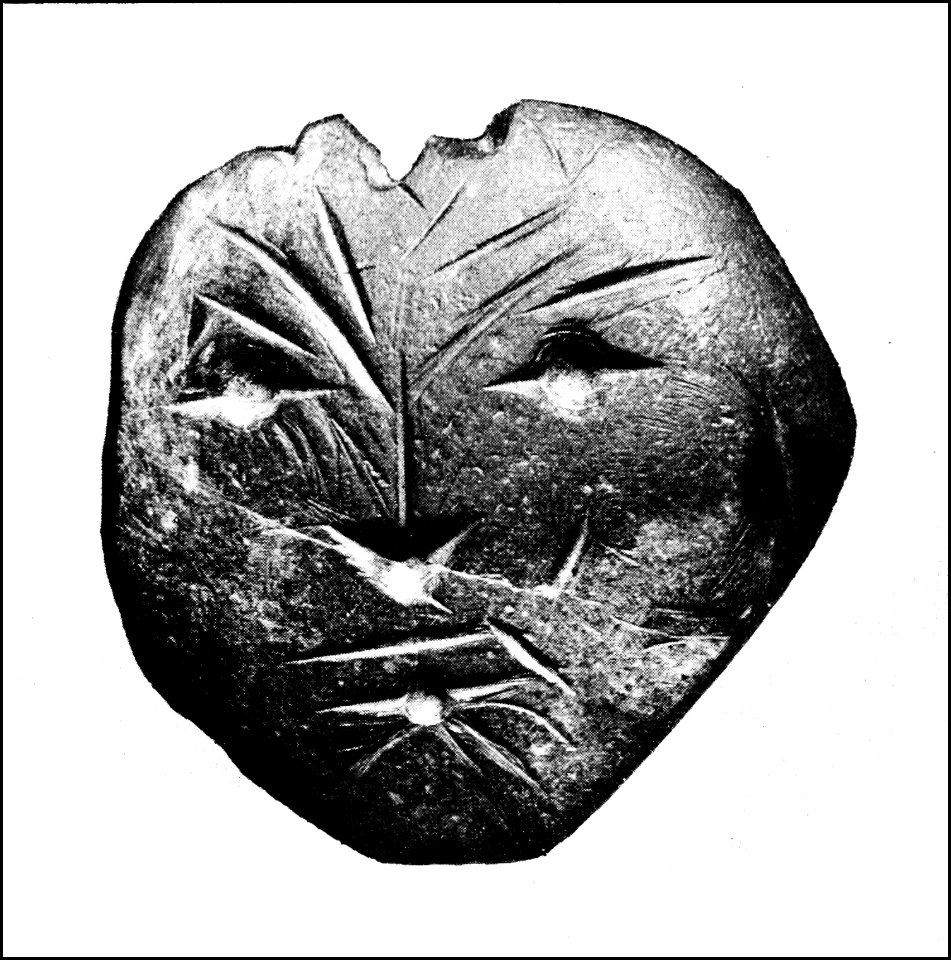 PSM V41 D609 Human face on stone ornament from susquehanna river penna