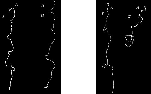 PSM V41 D657 Automatograph trace of building with different hands and positins