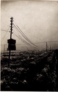 Rauhreif an den Telegraphendrähten der Eisenbahnstrecke (BildID 15708805)