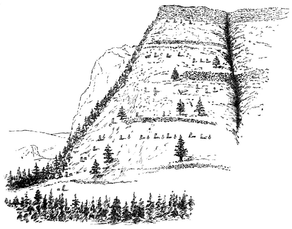 PSM V43 D315 Point of specimen ridge