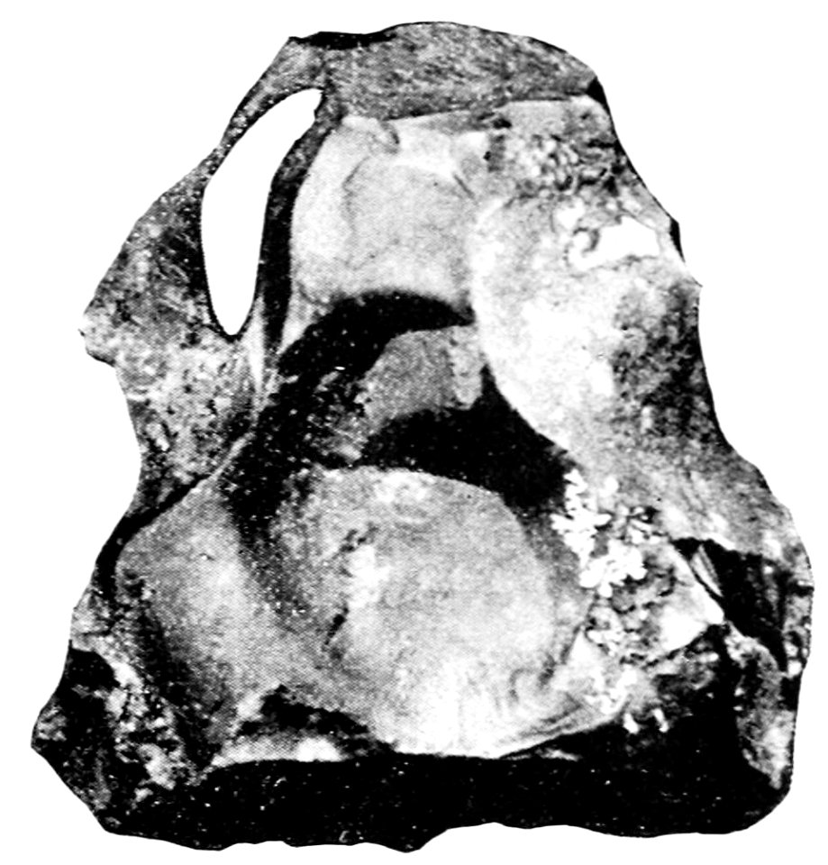 PSM V43 D687 Nodule of jasper flaked on one side from long swamp