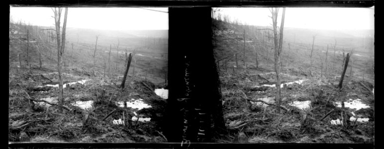 Ravin des Gobineaux. 09-11-17. - Fonds Berthelé - 49Fi911