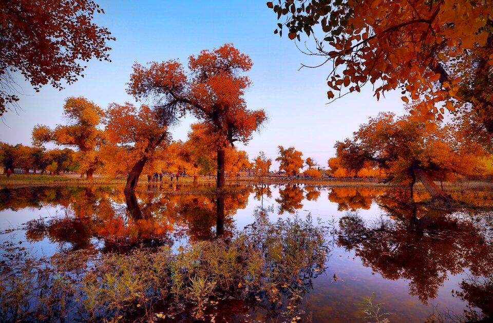 Desert the scenery water