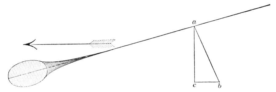 PSM V44 D763 Diagrammatic cross section of a bird wing during downstroke