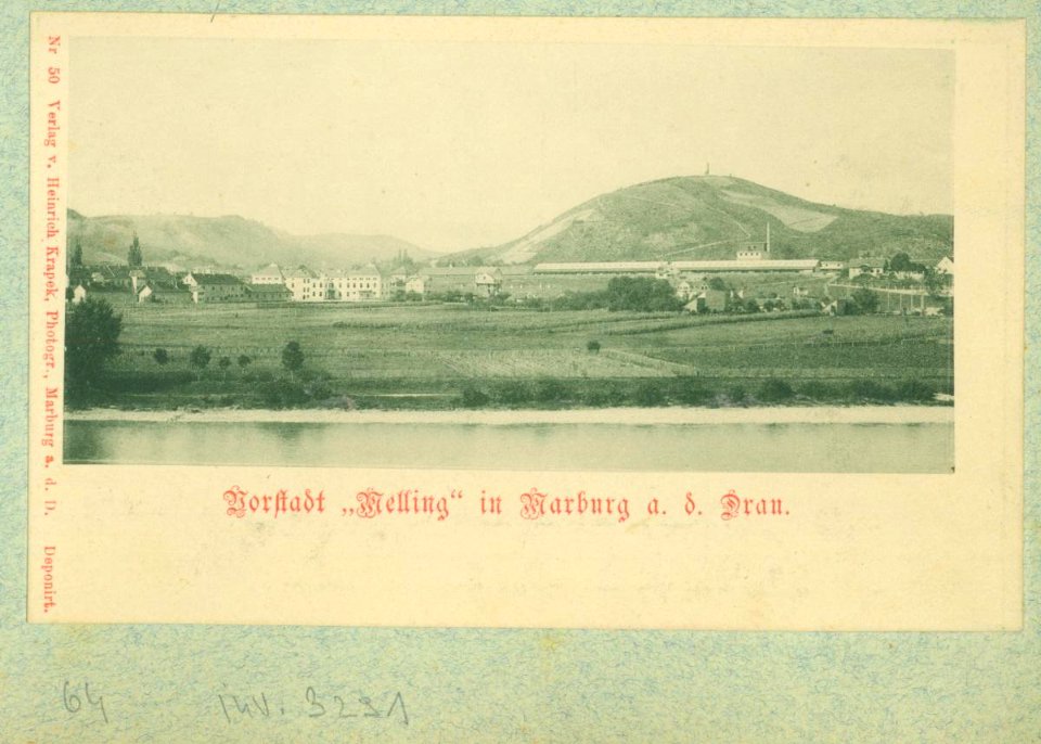Razglednice Maribora, ki jih je leta 1903 uredil dr. Amand Rak (300)