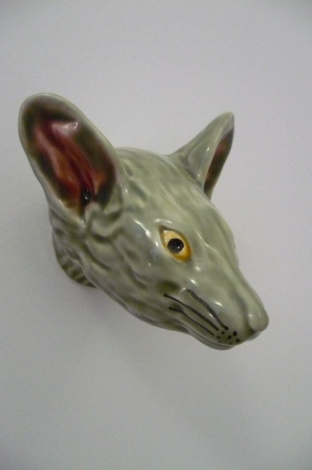 Rato