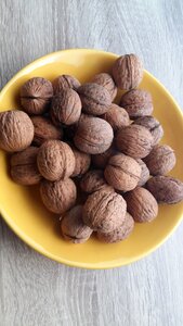 Dried fruits kitchen background