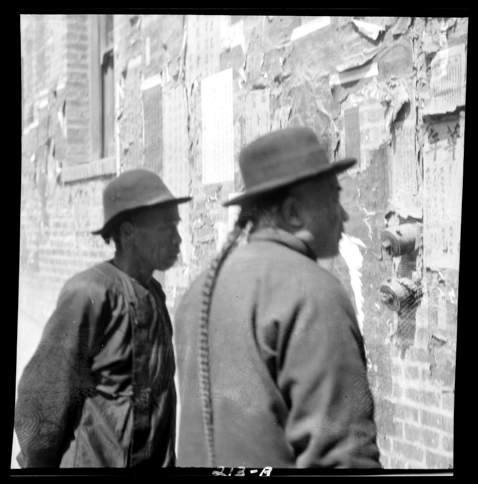 Reading wall notices, Chinatown, San Francisco LOC agc.7a09003