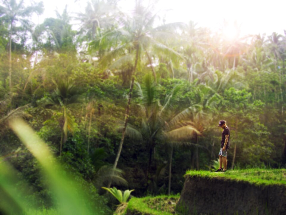 Travel adventure green